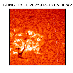 gong - 2025-02-03T05:00:42