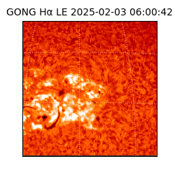 gong - 2025-02-03T06:00:42