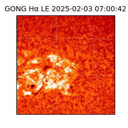 gong - 2025-02-03T07:00:42