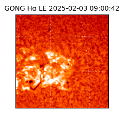 gong - 2025-02-03T09:00:42