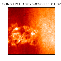 gong - 2025-02-03T11:01:02