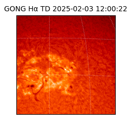 gong - 2025-02-03T12:00:22