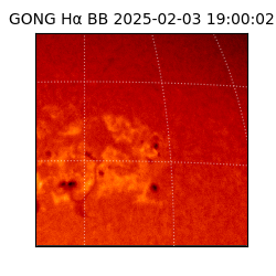 gong - 2025-02-03T19:00:02