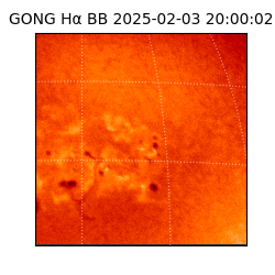 gong - 2025-02-03T20:00:02