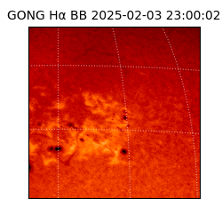 gong - 2025-02-03T23:00:02