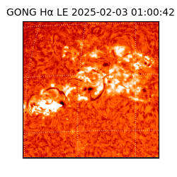 gong - 2025-02-03T01:00:42