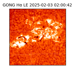 gong - 2025-02-03T02:00:42