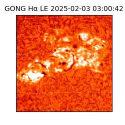 gong - 2025-02-03T03:00:42