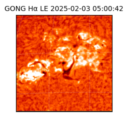 gong - 2025-02-03T05:00:42