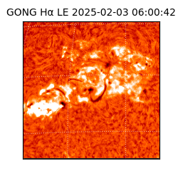 gong - 2025-02-03T06:00:42