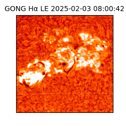 gong - 2025-02-03T08:00:42