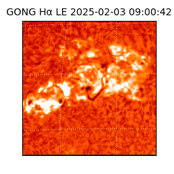 gong - 2025-02-03T09:00:42