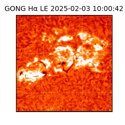 gong - 2025-02-03T10:00:42