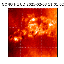 gong - 2025-02-03T11:01:02