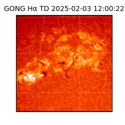 gong - 2025-02-03T12:00:22