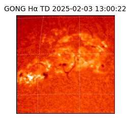 gong - 2025-02-03T13:00:22