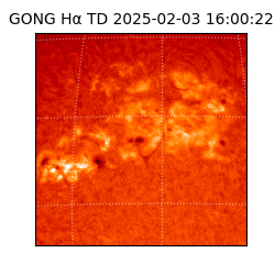 gong - 2025-02-03T16:00:22