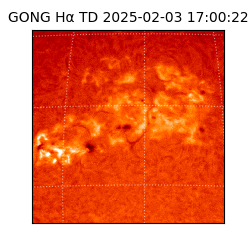 gong - 2025-02-03T17:00:22