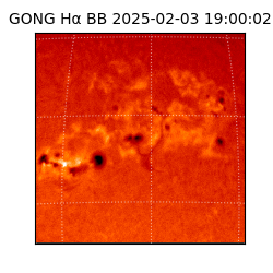 gong - 2025-02-03T19:00:02