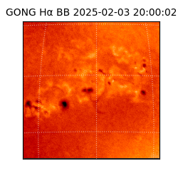 gong - 2025-02-03T20:00:02