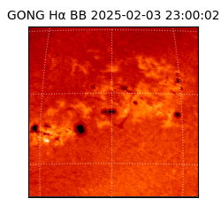 gong - 2025-02-03T23:00:02