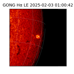 gong - 2025-02-03T01:00:42