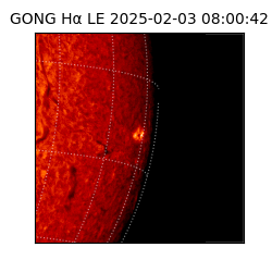 gong - 2025-02-03T08:00:42