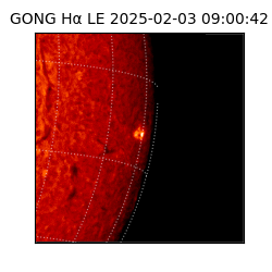 gong - 2025-02-03T09:00:42