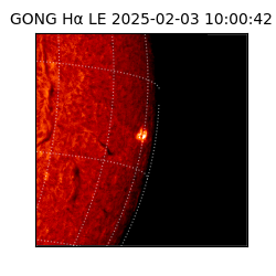 gong - 2025-02-03T10:00:42
