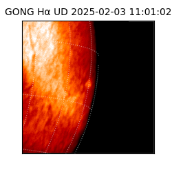 gong - 2025-02-03T11:01:02
