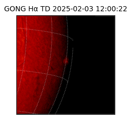 gong - 2025-02-03T12:00:22