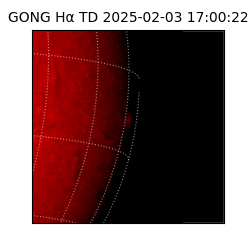 gong - 2025-02-03T17:00:22