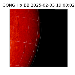 gong - 2025-02-03T19:00:02