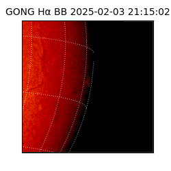 gong - 2025-02-03T21:15:02