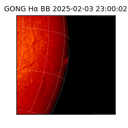 gong - 2025-02-03T23:00:02