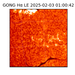 gong - 2025-02-03T01:00:42