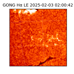 gong - 2025-02-03T02:00:42