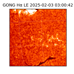 gong - 2025-02-03T03:00:42