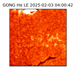 gong - 2025-02-03T04:00:42