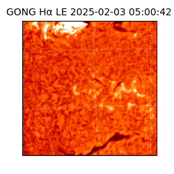 gong - 2025-02-03T05:00:42