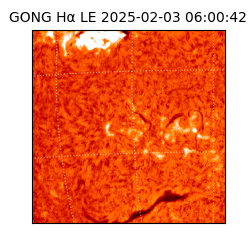 gong - 2025-02-03T06:00:42