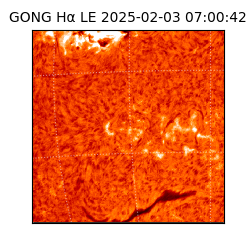 gong - 2025-02-03T07:00:42