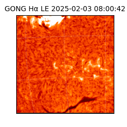 gong - 2025-02-03T08:00:42