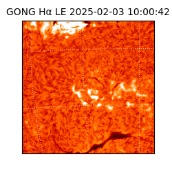 gong - 2025-02-03T10:00:42