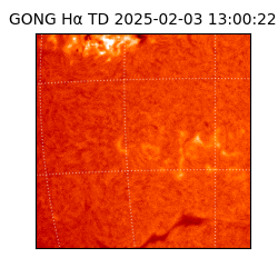 gong - 2025-02-03T13:00:22