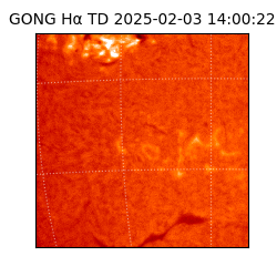 gong - 2025-02-03T14:00:22
