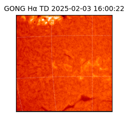 gong - 2025-02-03T16:00:22