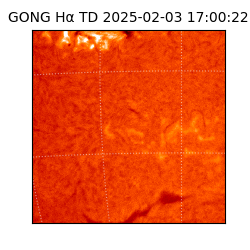 gong - 2025-02-03T17:00:22