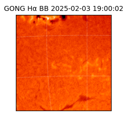 gong - 2025-02-03T19:00:02