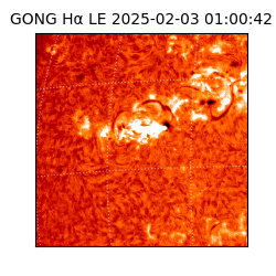 gong - 2025-02-03T01:00:42
